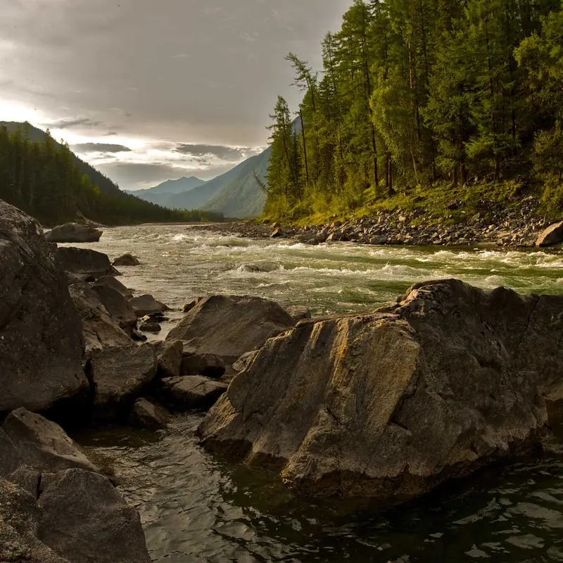 财经报道