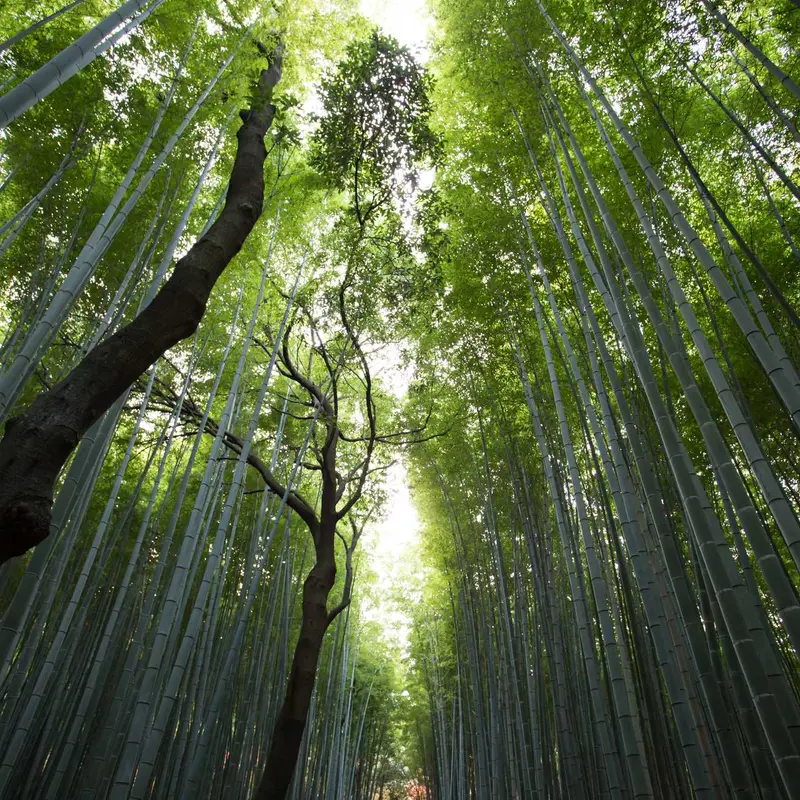 财经报道