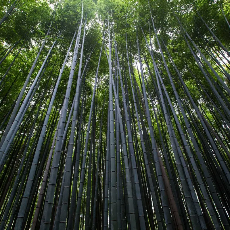财经报道
