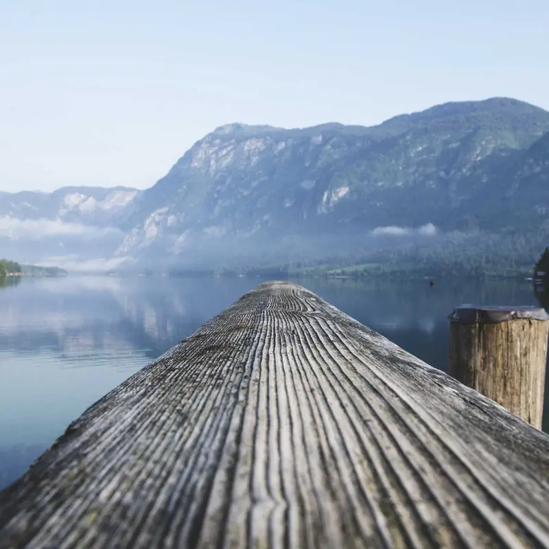 财经报道