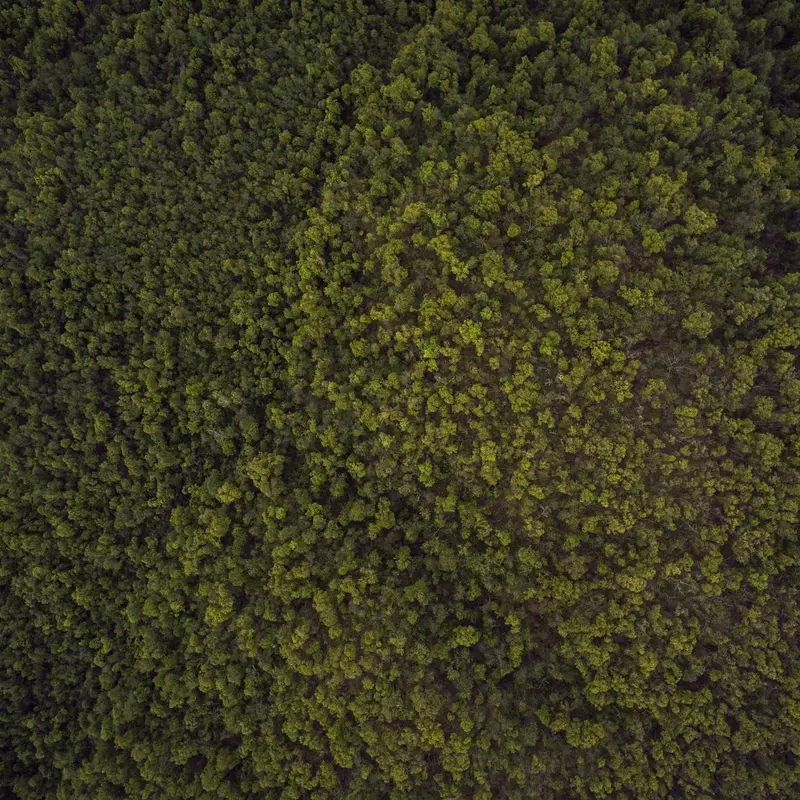 长沙seo站长工具下载